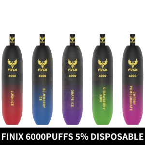 Finix 6000 Puffs 5% Nicotine Disposable Vape In Dubai, UAE