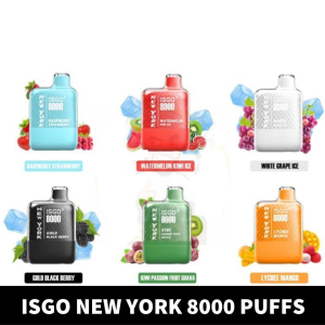 Isgo New York 8000 Puffs Rechargeable Disposable Vape shop In UAE