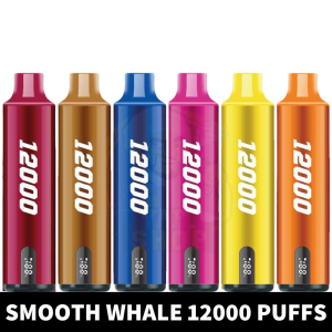 SMOOTH Whale Disposable 2% & 5% 12000 Puffs Rechargeable Vape in Dubai, UAE