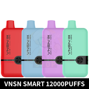 VNSN Smart Disposable 12000 Puffs Box Rechargeable Vape in Dubai, UAE