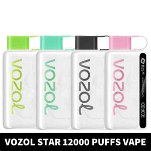 VOZOL STAR 12000 Puffs 20mg & 50mg Disposable Vape in Dubai