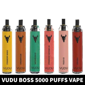 VUDU Boss 5000 Puffs 50Mg Disposable Vape In Dubai