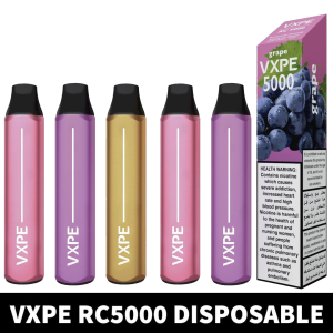 VXPE RC5000 puffs 2% nicotine Disposable Vape 5% 5000Puffs Rechargeable Vape